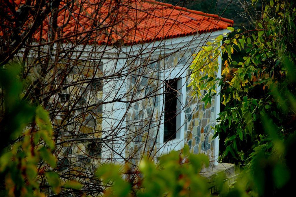 Bed and Breakfast Mavikarga Bozcaada Zewnętrze zdjęcie